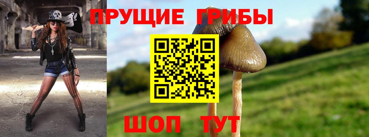 Псилоцибиновые грибы прущие грибы Михайловск