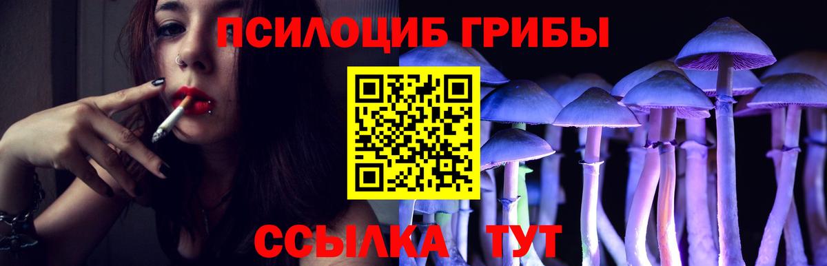 Михайловск  Псилоцибиновые грибы мухоморы  Галлюциногенные грибы Cubensis  Вход с VPN 